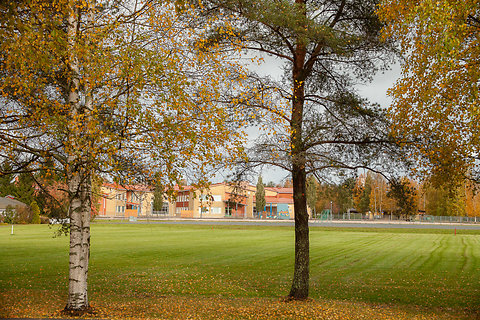 Katso suurempi versio kuvasta