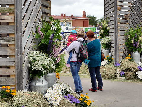 Katso suurempi versio kuvasta